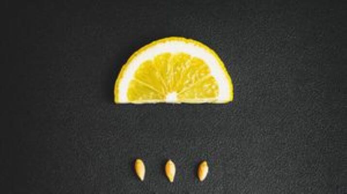 Чудодійний лимон - скибочка та насіння