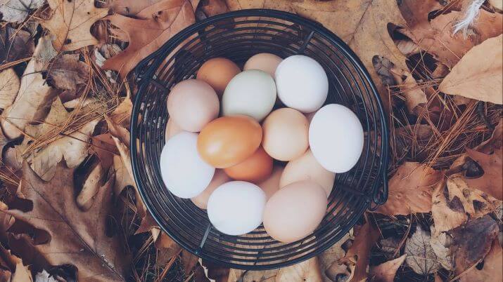 Курячі яйця у посудині на осінньому листі